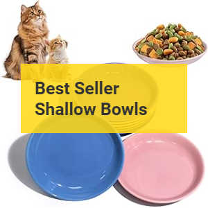 Best Shallow bowls Product Banner